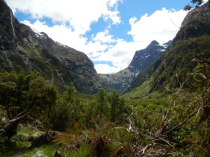 Milford Track Mackinnon Pass - เส้นทางเดินป่า Milford Track นิวซีแลนด์ ภูเขาหิมะและป่าดิบชื้น Fiordland